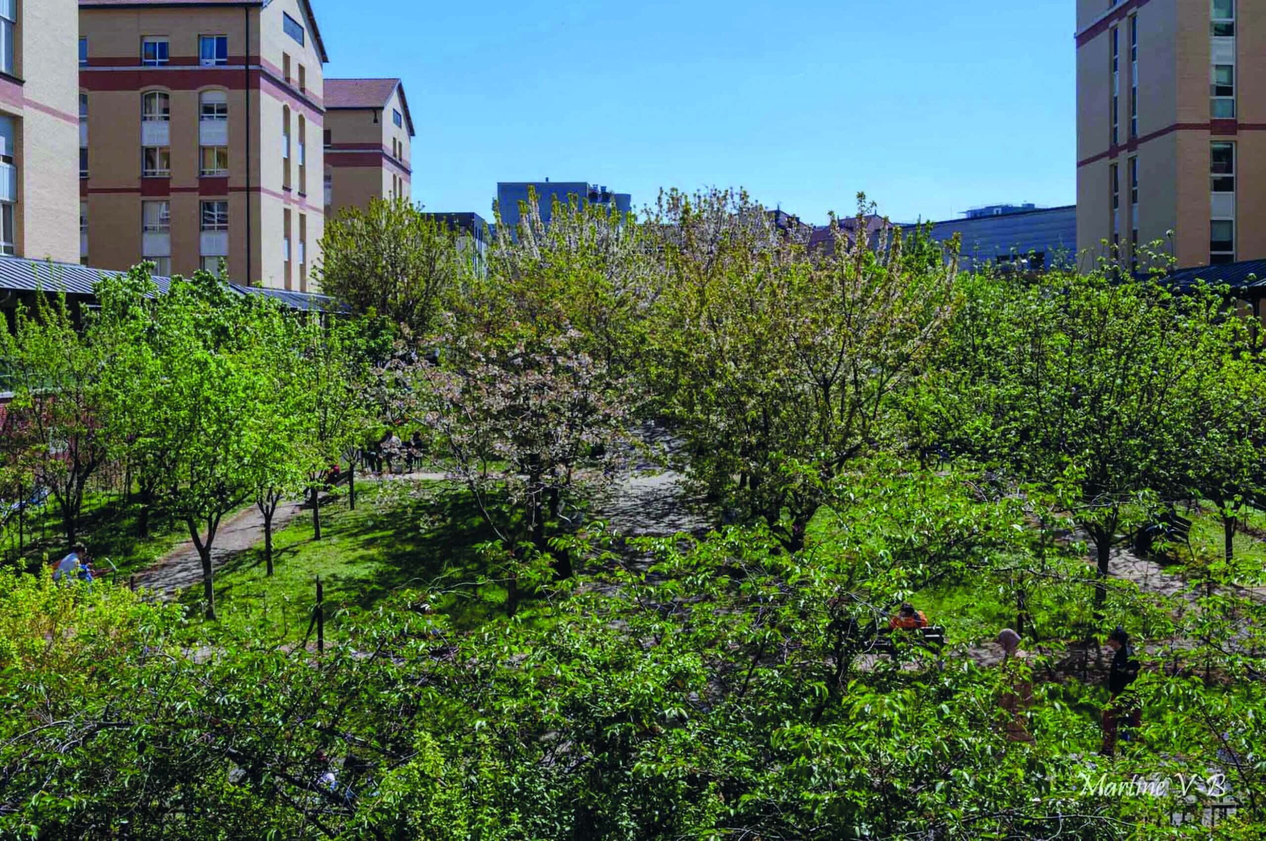 Jardin